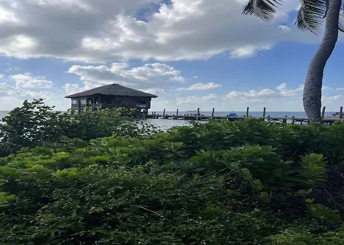 Residences At Barrier Reef 1-3c Oceanfront 2 Bedroom By Floreo