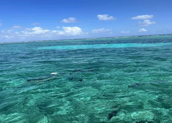 Holiday home Residences At Barrier Reef 1-3c Oceanfront 2 Bedroom By Floreo *